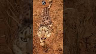 Far Cry Primal Leopard Tamed #farcryprimal #gameplays #gameplayGLB