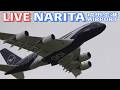 🔸LIVE📡 '26/4/15 成田空港 Narita International Airport plane spotting