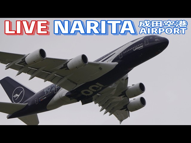 🔸LIVE📡 '26/4/15 成田空港 Narita International Airport plane