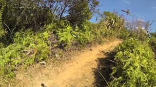 lamma jump