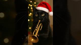 Sulky The Cat Plays Jingle Bells Cats Doing Things Cats Would Never Do
