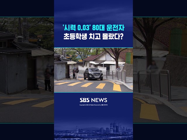 '시력 0.03' 80대 운전자..초등학생 치고 몰랐다? #shorts