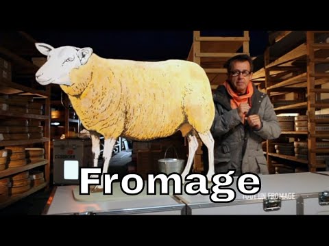 Vidéo: Différence Entre Le Fromage Et Le Lait