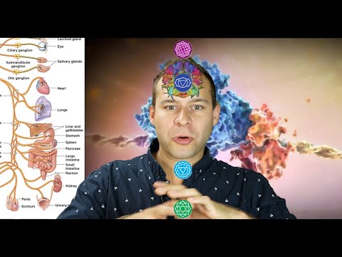 Anatomical Energy Centers for Neurofeedback Meditation