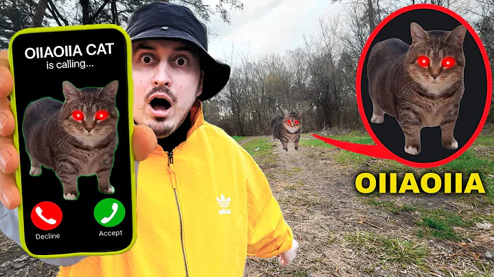 OIIAOIIA CAT is Calling NIKPIG - Spinning Cat Meme Remix 2025 (comedy parody)