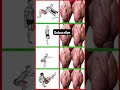best workout for leg at home #fitness #shorts #tranding #youtubeshort