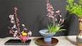 The Enchanting World of Japanese Flower Arrangement (Ikebana) ile ilgili video