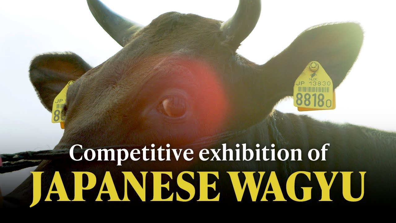 The Masterfully Marbled World of Japanese Wagyu Beef
