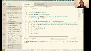 Debugging Go Microservices with Skaffold and Telepresence  - Peter ONeill - Baltimore Go (3-2-2021)