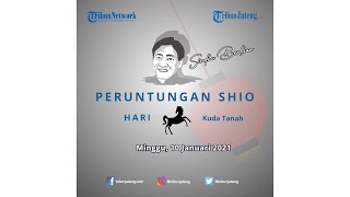 Peruntungan Shio Harian Minggu 10 Januari 2021