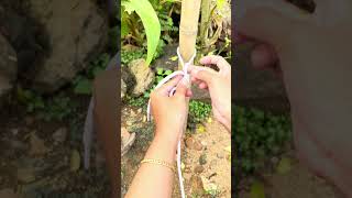 Simpul paling populer #RopeKnots #KnotTying #CampingTips #OutdoorSkills #BushcraftUSA