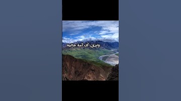 من سورة الجاثية - عمار حمصي