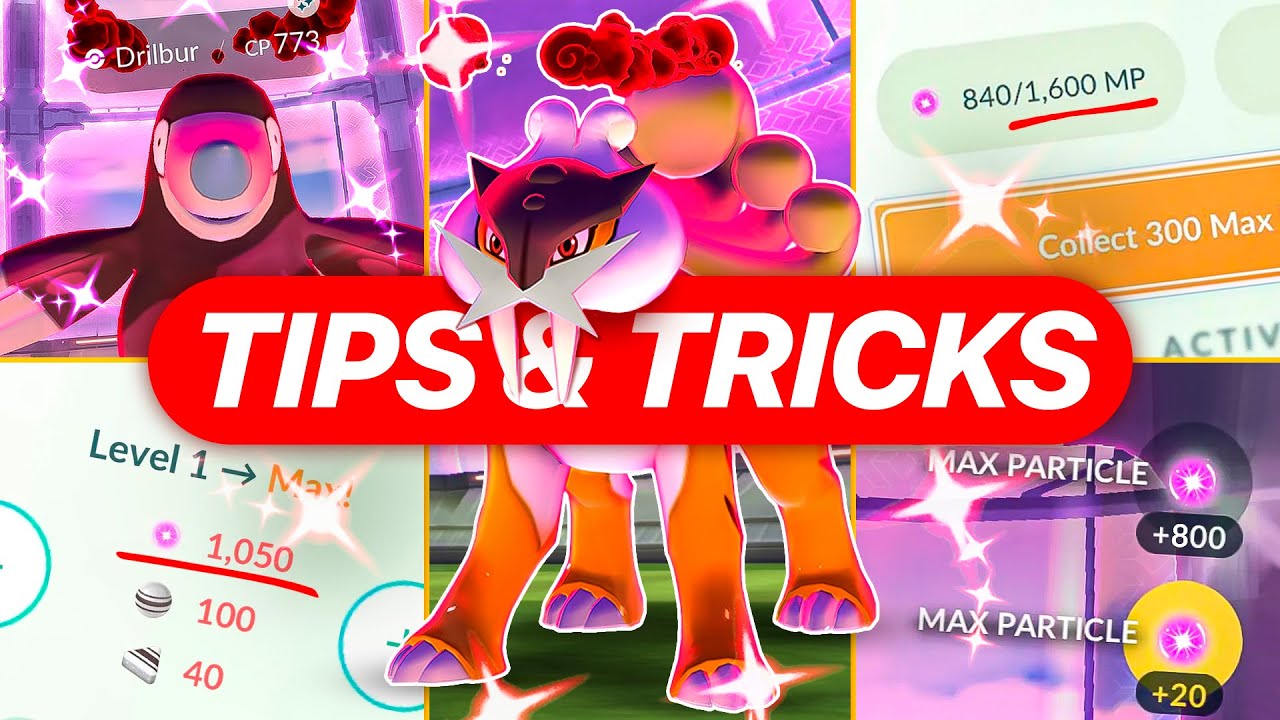 Watch This BEFORE Raikou Max Battle Weekend!