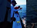 Turns out this is how swimmers drink water during a race — they hydrate without ever leaving the wat