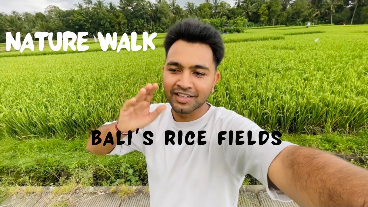 Nature Walk || Rice Fields || Bali, Indonesia