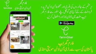 FarmGhar App use Buy and sell Barid and Janwar Download this App screenshot 2