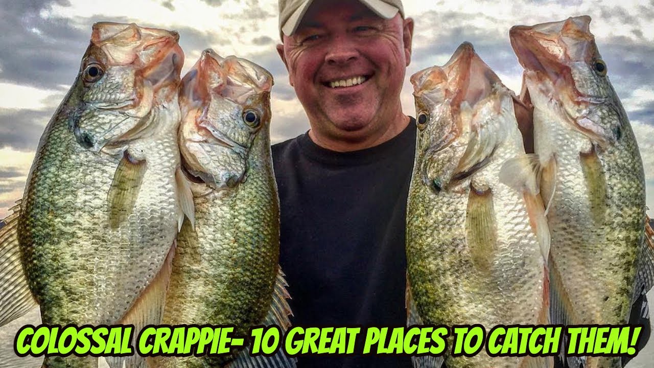 Catch More Crappies with Slip Bobbers