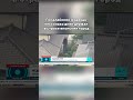 Гималайский медведь несколько дней держал в страхе японский город #гималайскиймедведь #япония