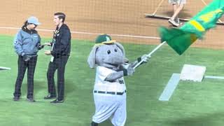 Oakland Coliseum Walk-Through - 2024 Athletics Last Season 