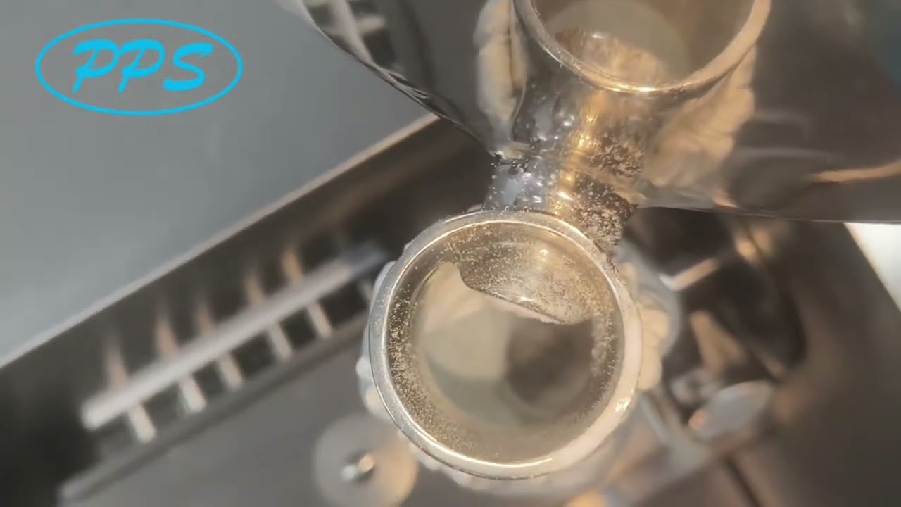 PPS TSE Elf Twin Screw Melt Granulation System