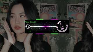 Dj Bolaga Botaja Bandmix Dj Dayak Rompokng Panu Viral Tiktok Terbaru