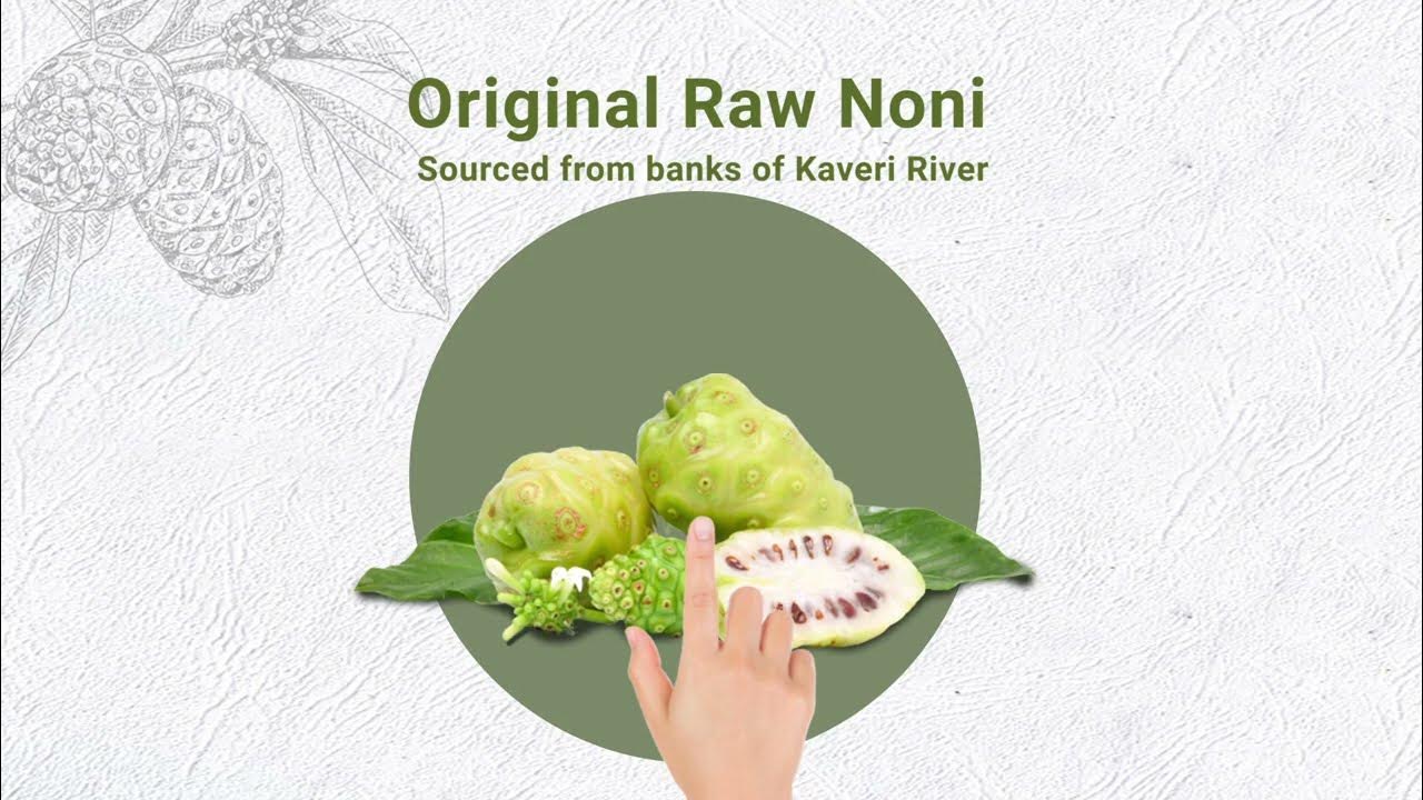 Raw Noni Juice from Krishna's Ayurveda Sugar free juice YouTube