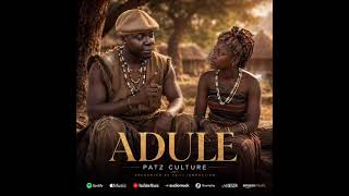 Adule -patz culture Audio Out