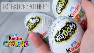 Kinder NATOONS Сюрприз | Только животные? | Киндер НАТУНС Новинка 2019