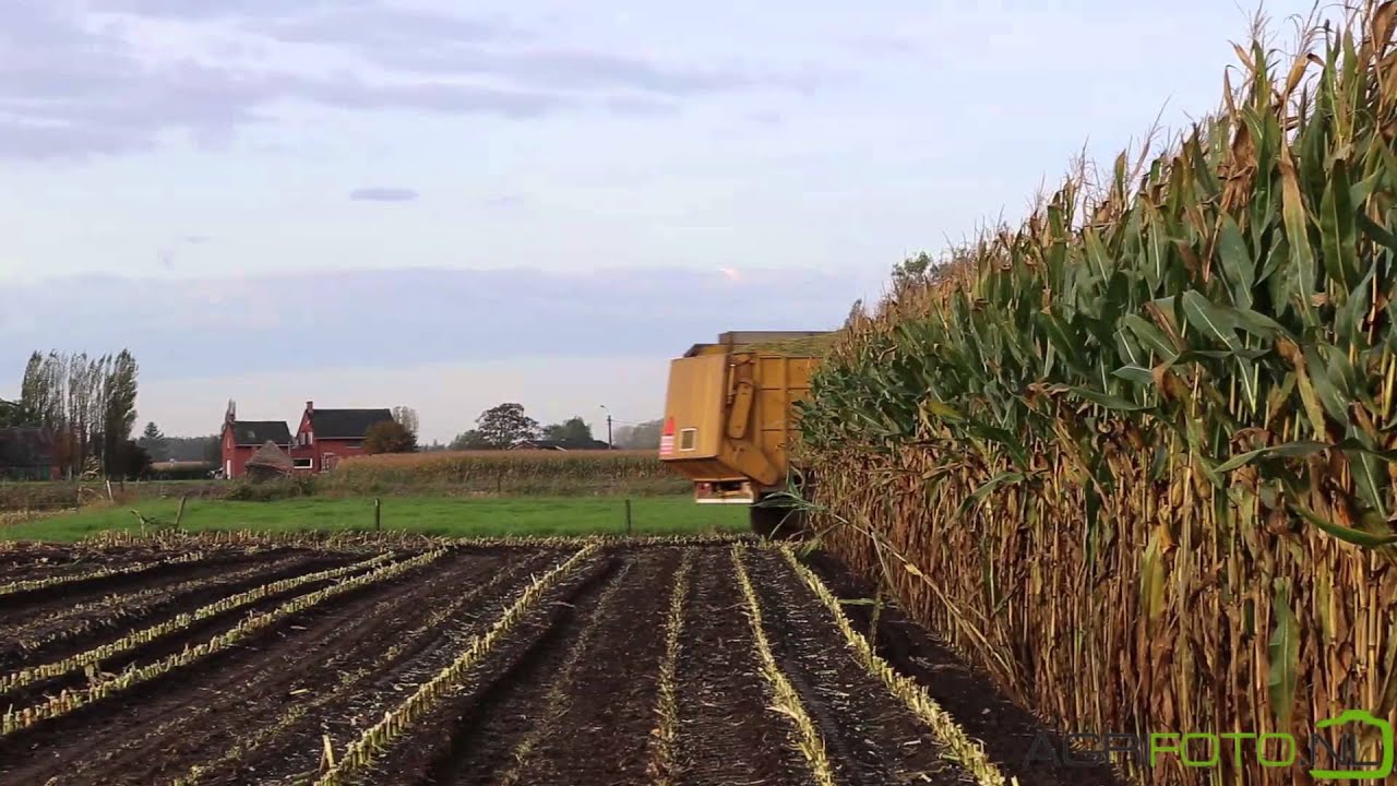 Claas Jaguar 900 Field Shuttle | New Holland T7.210 & T7070 Blue Power
| Part 1 | De Bruyne