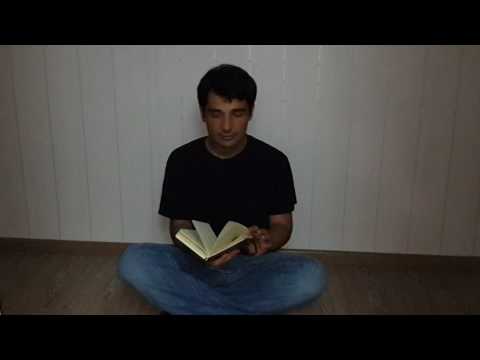 ნიკა ძამიაშვილი  — რამოდენიმე ლექსი / nika dzamiashvili — ramodenime leqsi