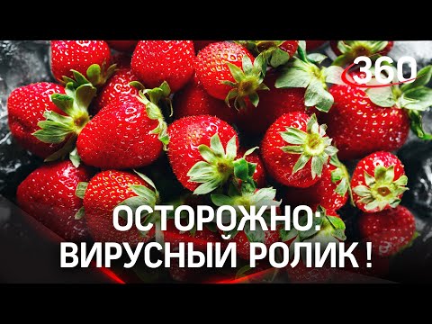 После просмотра видео у вас возникнет непреодолимое желание поесть клубники!