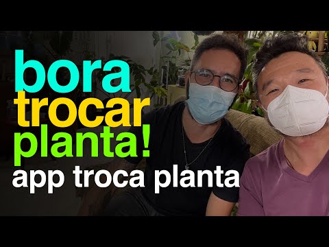 Vídeo: O que é uma troca de plantas - Regras de troca de plantas para trocas de sementes e plantas