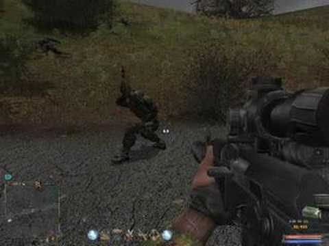 Stalker AI bug