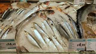 From Catch to Kitchen