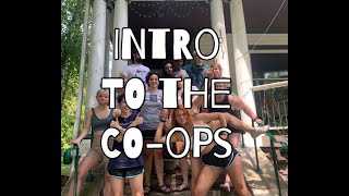 An Intro to the Student Housing Co-ops