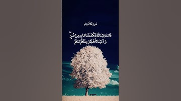 #آية #سورة_الأنبياء #القارئ #محمدأيوب #رحمه_الله