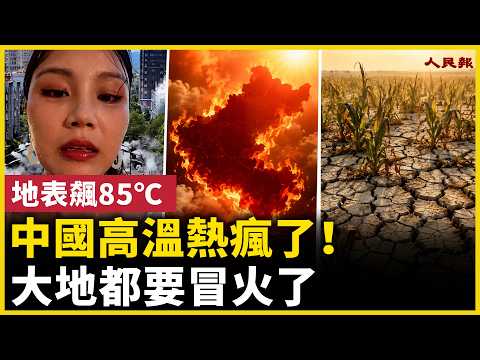 中国进入烧烤模式！地表飙85℃！上海杭州热爆！动物热死、路面开裂！