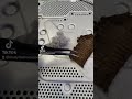 Rodzaje kurzu w PS4 🤯Identyfikacja warunków użytkowania ? #shorts #modyfikatorcasper