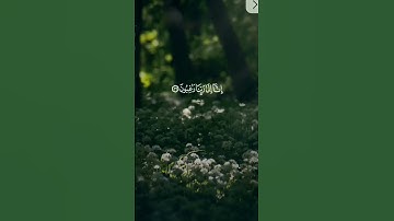 #قرآن #تلاوة_خاشعة #راحة_نفسية #اكسبلور