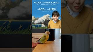 Will THE BOY AND THE HERON earn Studio Ghibli their second Oscar? 🦜