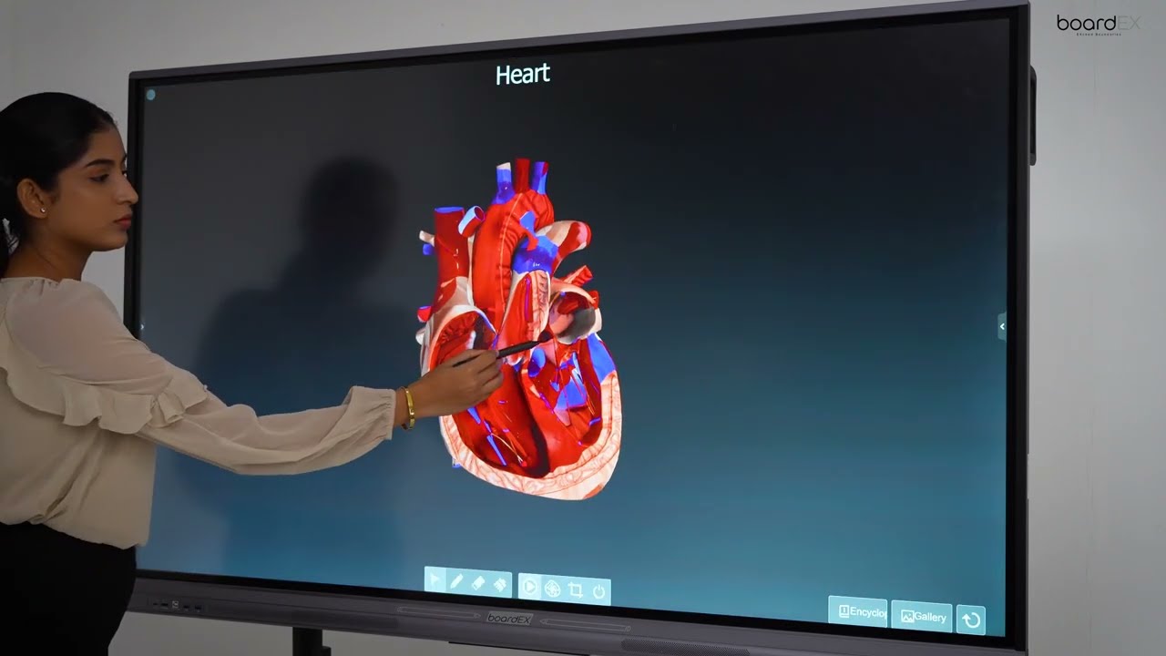 AI-Powered BoardEX Interactive Panel: 3D Graphics, Text, and Seamless Multi-Screen Experience