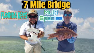 Fishing the Florida Keys 7 Mile Bridge AWESOME Multi Species Day!