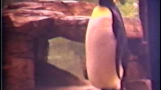O'Neill and Holbrook Home Movies 1947 - 1948