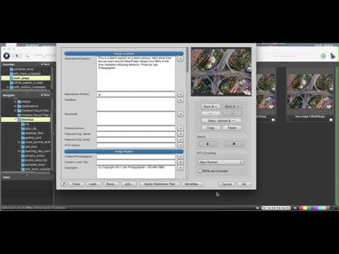WordPress Metadata Workaround
