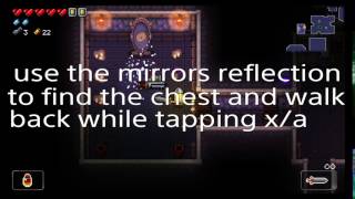 Enter the gungeon mirror room
