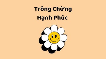 Trông Chừng Hạnh Phúc