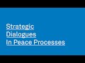 Strategic dialogues in peace processes course at swisspeace