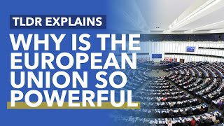 Where Does the EU Get its Power From? (& How it Passes Laws) - TLDR News