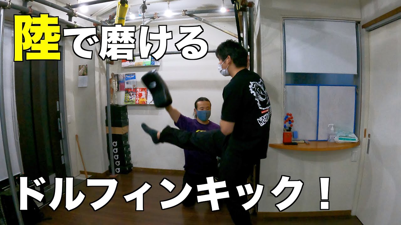 誰でも自宅で磨ける！ドルフィンキック練習方法を習って来た！【水泳】【ドルフィンキック】