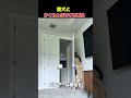 愛犬とかくれんぼをする男性